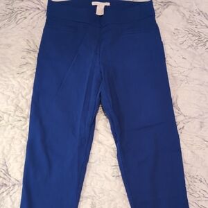 Vibrant Blue Cropped Pants with Elastic Waistband